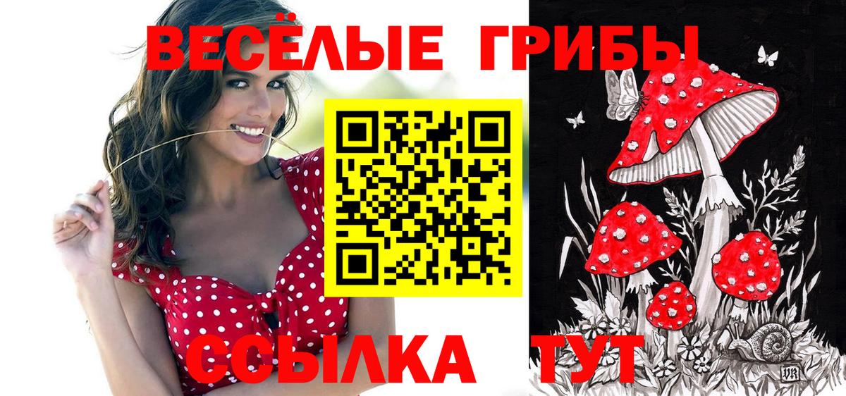 Галлюциногенные грибы ЛСД  Вход с VPN  Псилоцибиновые грибы Psilocybe  Карабулак 