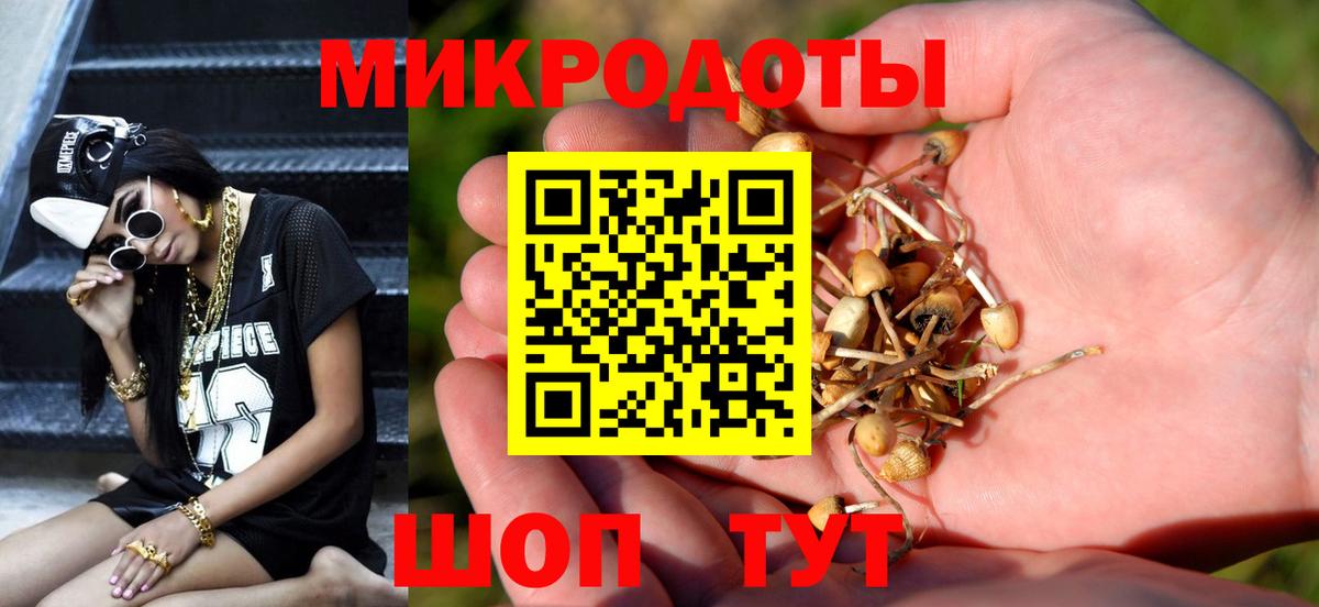 Галлюциногенные грибы Cubensis Карабулак